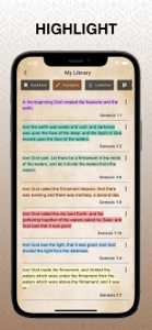 Holy New Jerusalem Bible screenshot #4 for iPhone