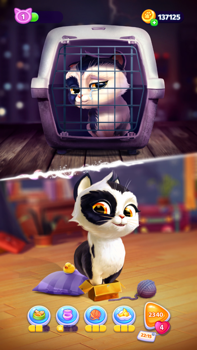My Cat – Virtual Pet Games Screenshot