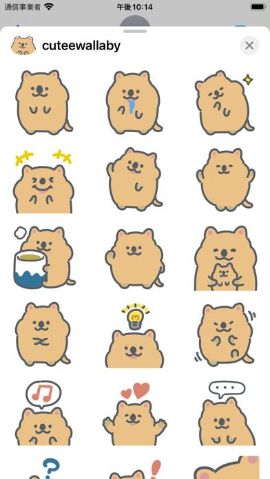 cute wallaby sticker Screenshot