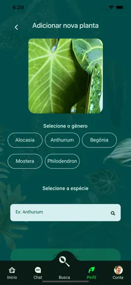 Game screenshot Gimme Jungle mod apk