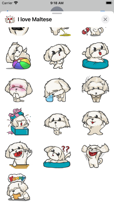 Cutest Maltese Puppy Sticker Screenshot