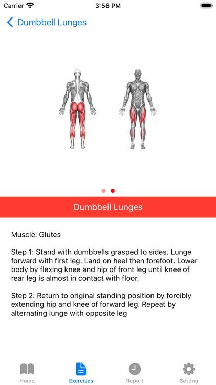 Dumbbell Home Workout Plan screenshot-4