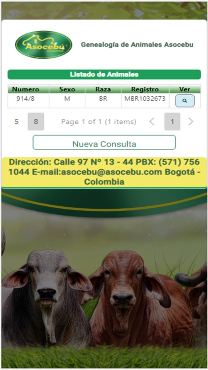 Genealogias Web Asocebu