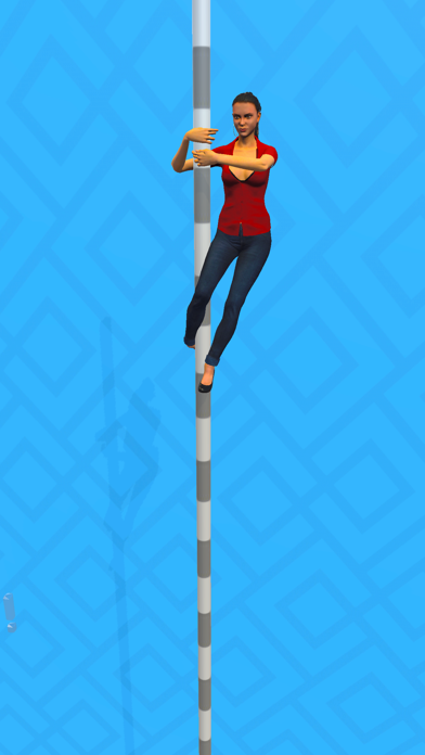 Pole Racing Screenshot