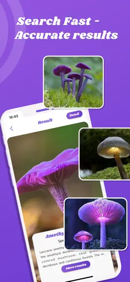 Game screenshot Mushroom id- Mushroom identify hack