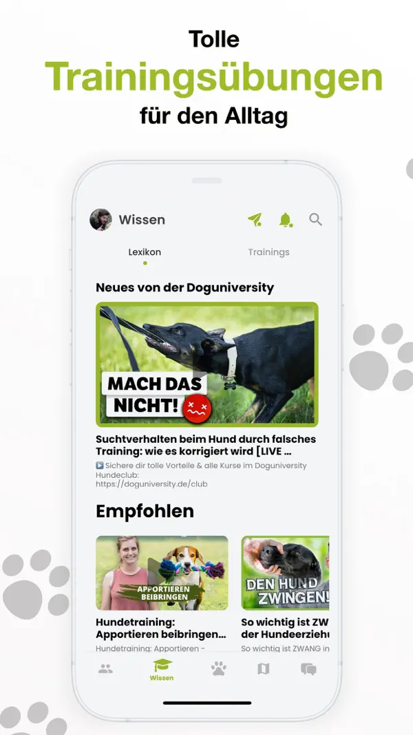 Doguniversity: Hundetraining Screenshot 2