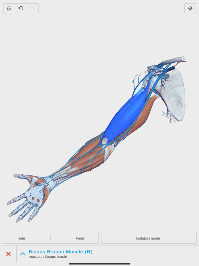 Visual Anatomy 3D - Human