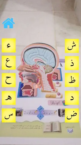 Game screenshot AR Bahasa Arab Thn.6 mod apk