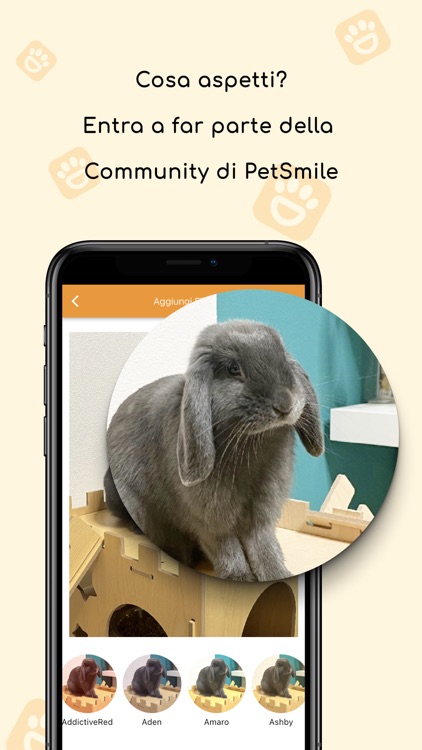 Pet Smile - Social per animali screenshot-3