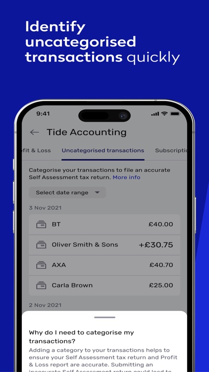 Tide Accounting screenshot-3