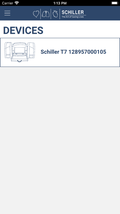 SCHILLER Mirroring Screenshot