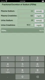 fena calculator iphone screenshot 2