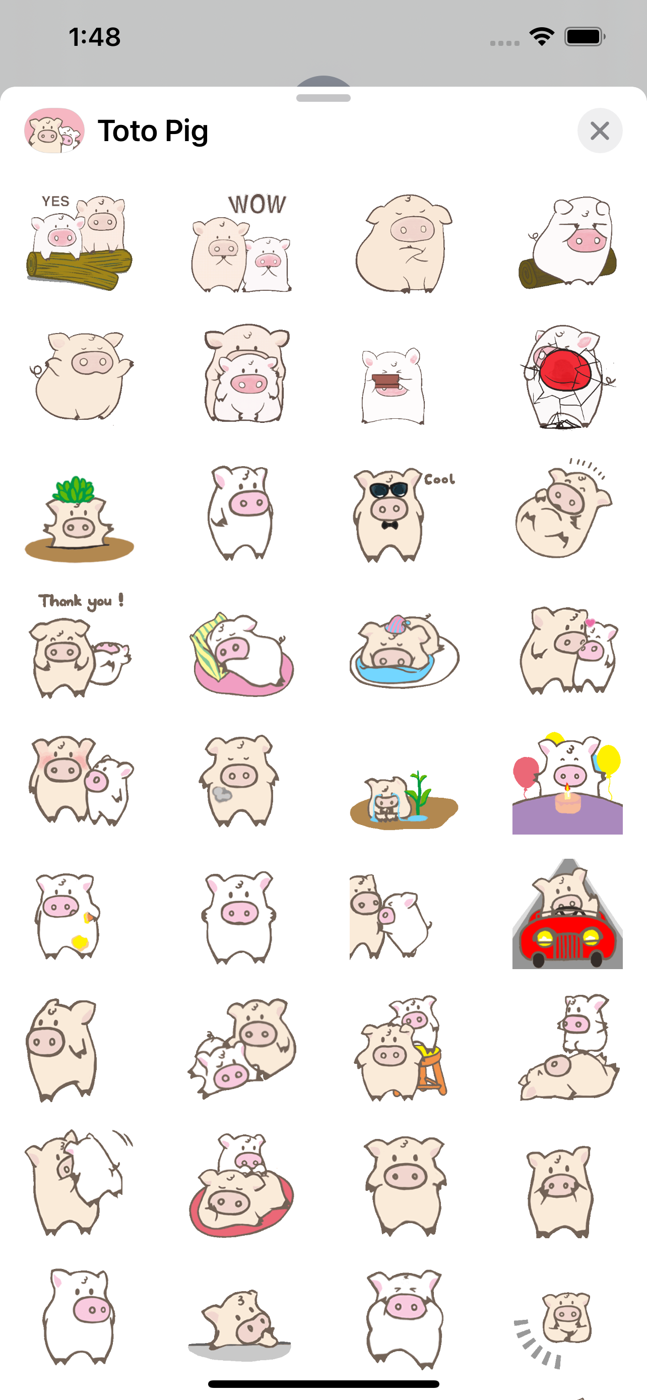 Toto Pig - Piglets Stickers