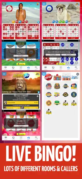 Game screenshot BOOM BINGO: Live Video & Slots apk
