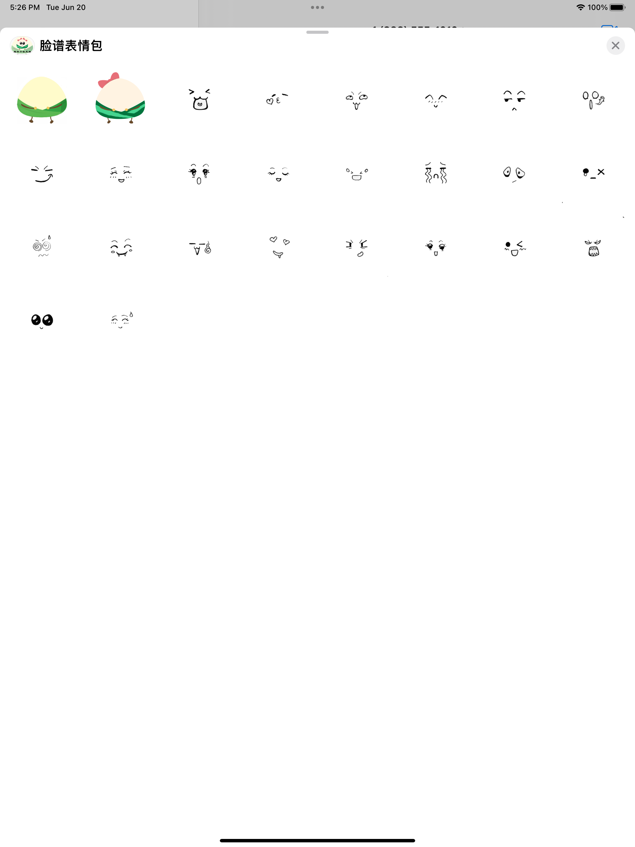 粽宝宝表情包