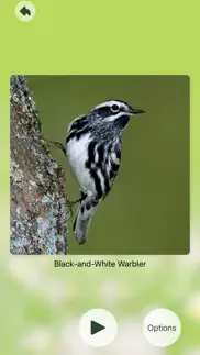 chirp! bird songs & calls usa problems & solutions and troubleshooting guide - 2
