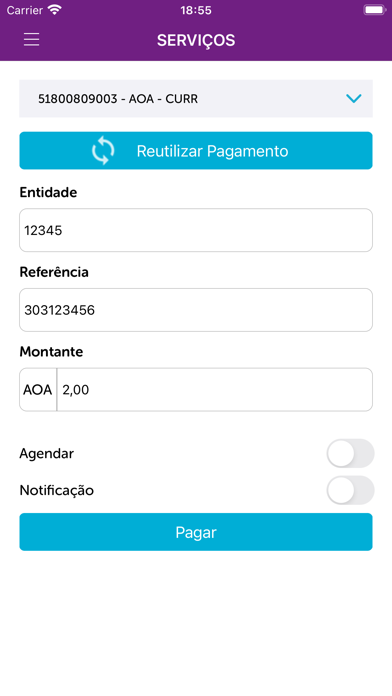 EconomicoNet App Screenshot