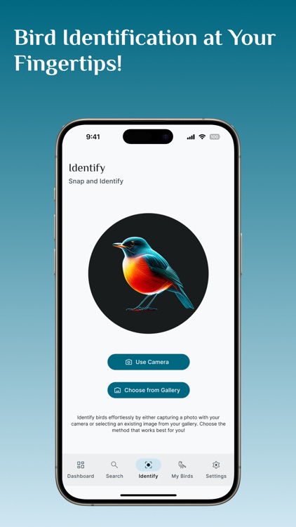 Bird Identifier, Bird Id screenshot-7
