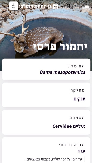 גן החיות התנכי Screenshot