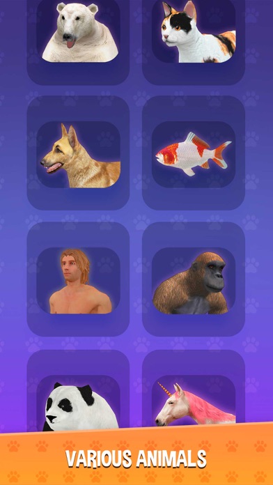 IDLE Animal Anatomy Screenshot