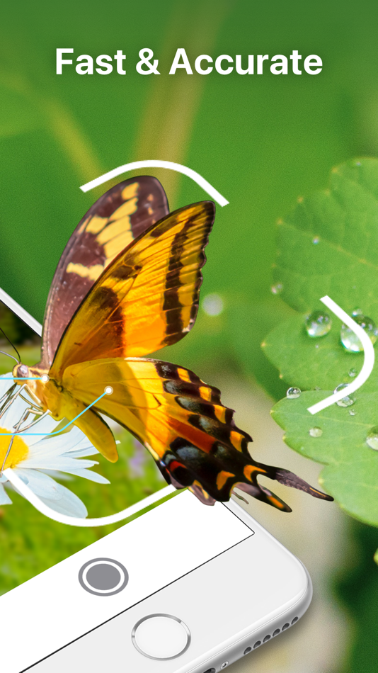 #2. Bug Identifier Insect Id (iOS) 由: Le Khanh