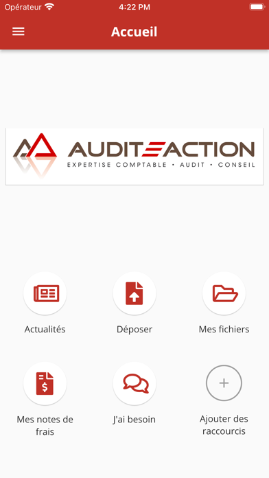 Screenshot #2 pour Audit Action