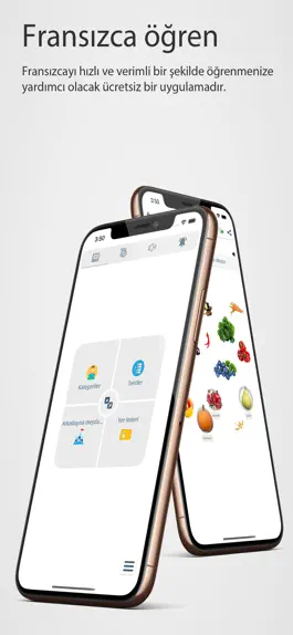 Game screenshot Fransızca Öğren mod apk