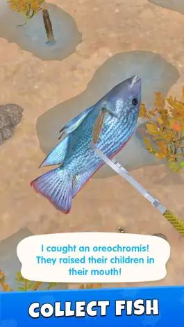 Game screenshot Catch Fish! hack
