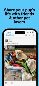 DogHood: Dog Lovers Community screenshot #6 for iPhone