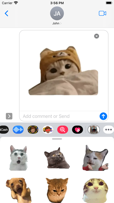 Cute Cat Meme Screenshot
