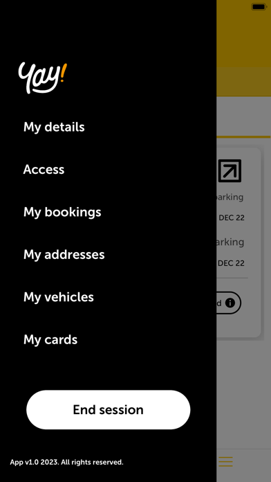 Yay! You fly, we’ll park Screenshot