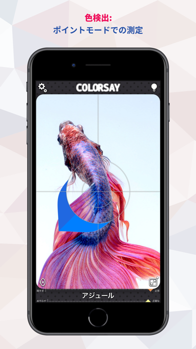 ColorSay • カラースキャナーのおすすめ画像2