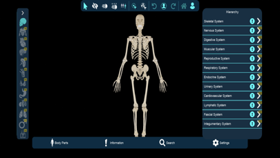 Vesalii Anatomy Student Screenshot