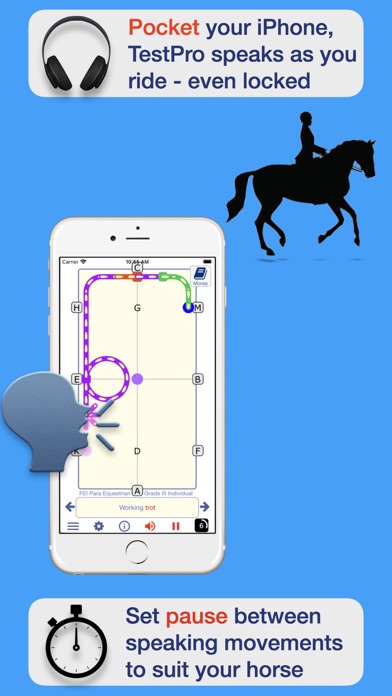 FEI Para Dressage Screenshot