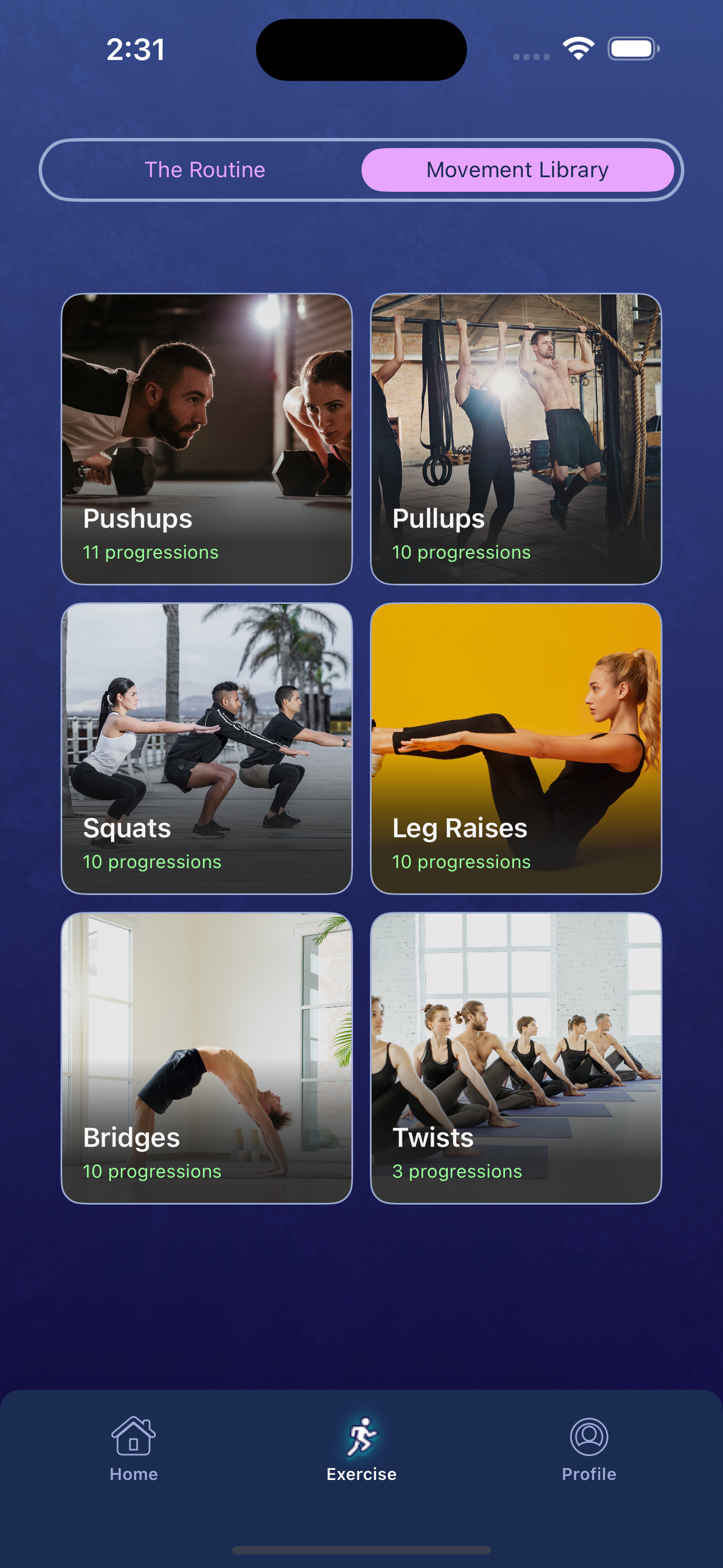 Hybrid Calisthenics