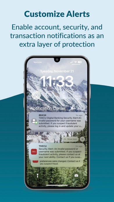 TDECU Digital Banking Screenshot