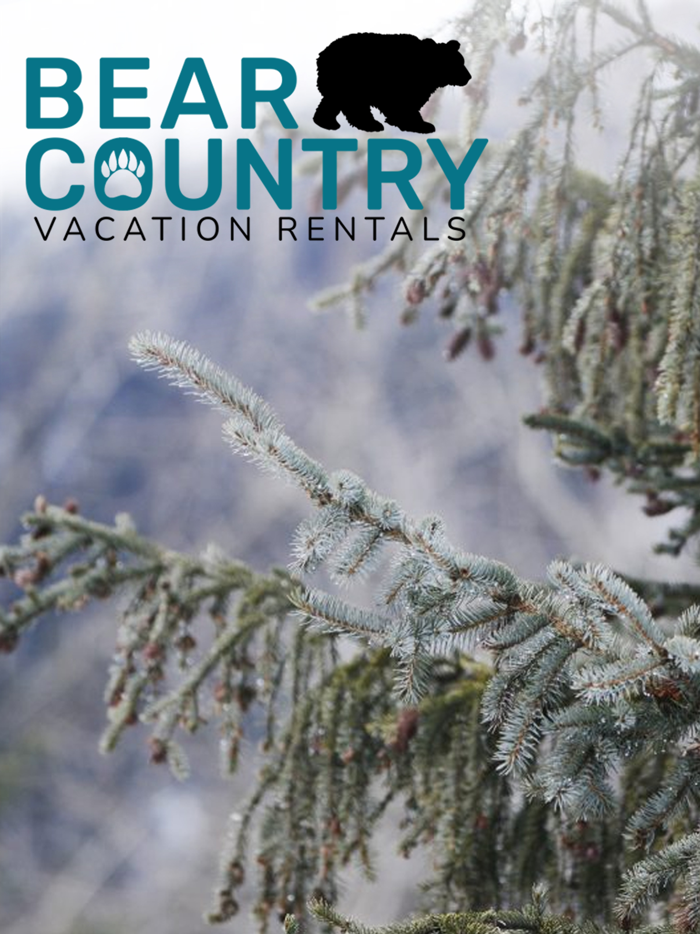 Bear Country Sun Peaks