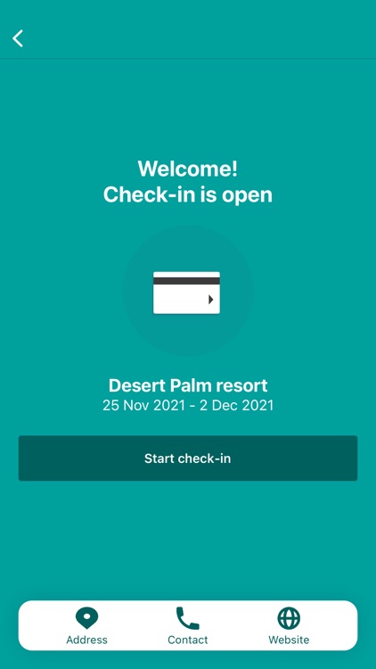 Desert Palm