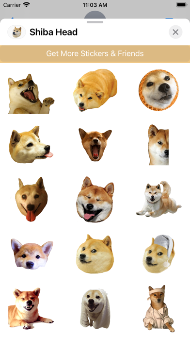 Shiba Dog's Head Screenshot 2 - AppWisp.com Shiba Dog's Head Screenshot 2 - AppWisp.com