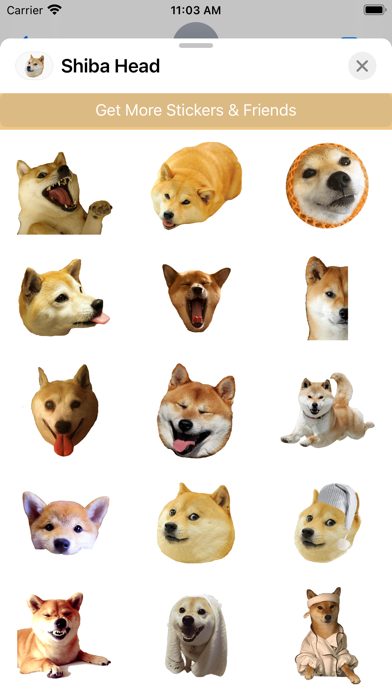 Shiba Dog's Head Screenshot