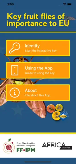 Game screenshot Key important fruit flies EU mod apk