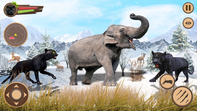 Wild Black Panther Games 3D
