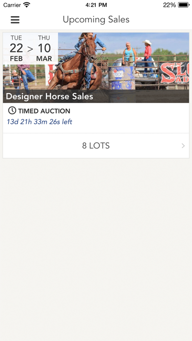 Designer Horse Sales Screenshot