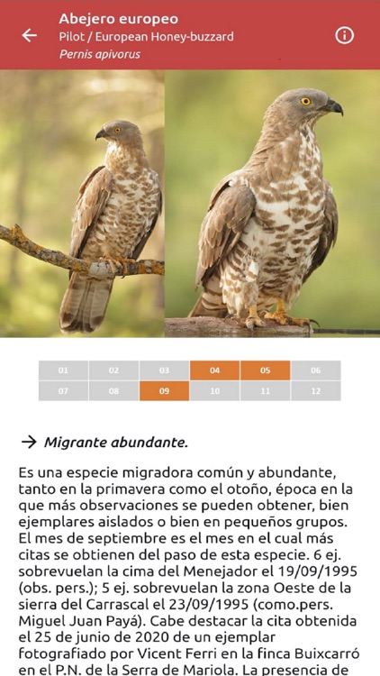 Atlas de las Aves