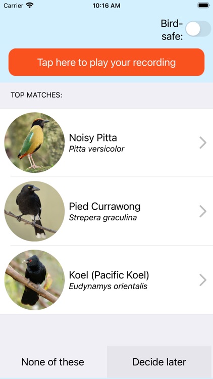 ChirpOMatic - Australian birds screenshot-5