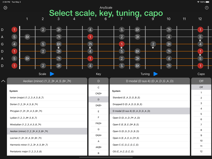 AnyScale - Tunings and Scales