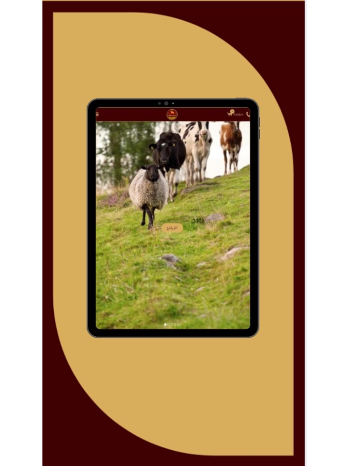 الخروف الطازج