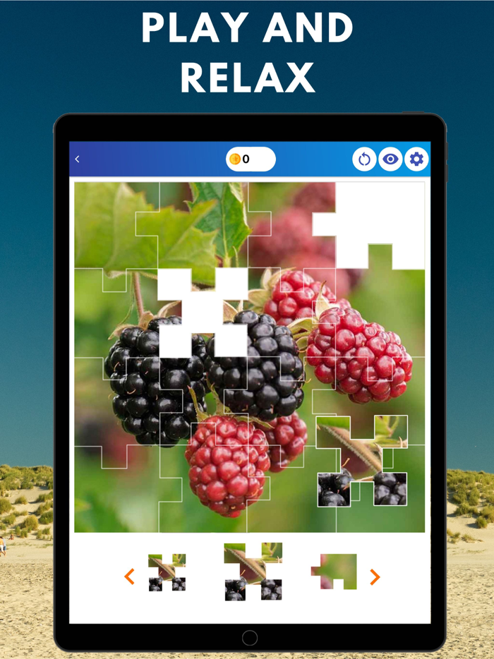 Jigsaw Puzzles Mind Trick Game