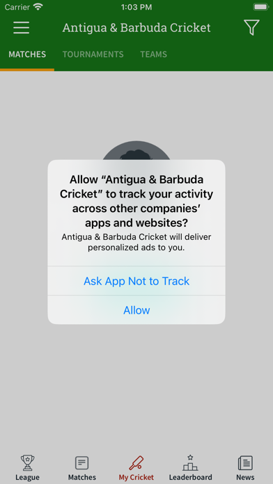 Antigua & Barbuda Cricket Screenshot