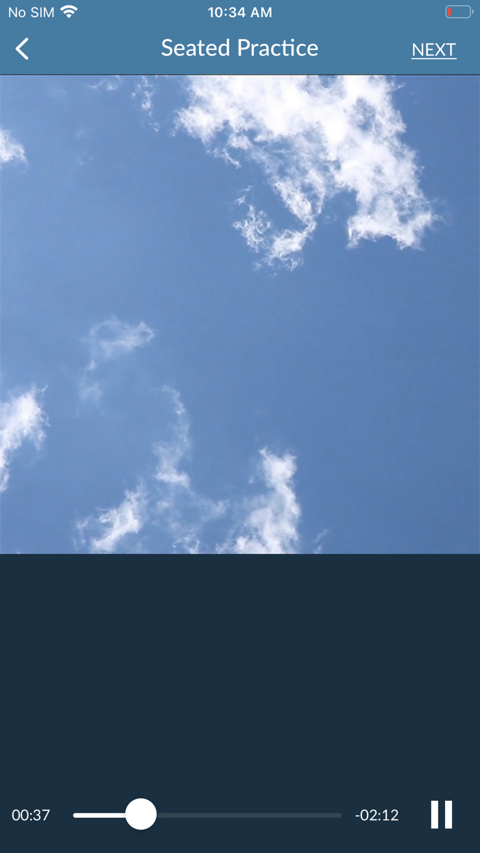 Mindfulness Explorer Pro